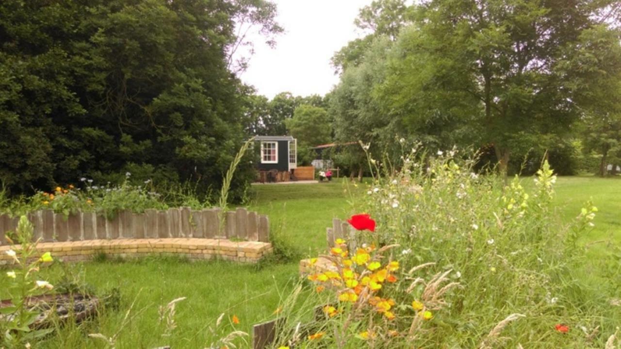 Pipowagen In Het Groen De Cocksdorp  Exterior foto